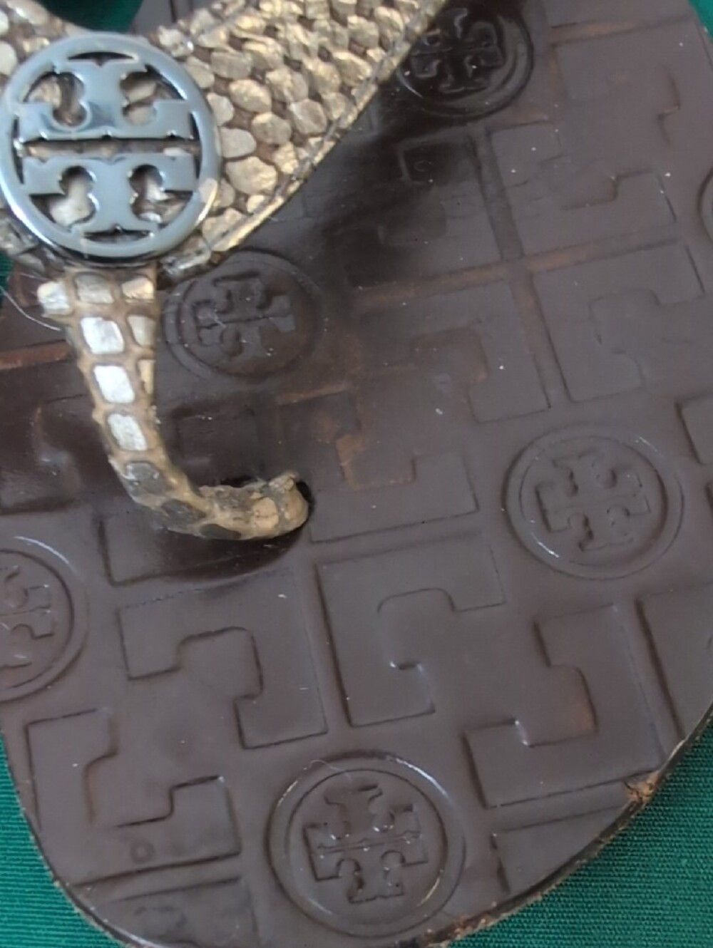 Tory Burch Metallic Gold Snake-Effect Logo Thong Sandals - Picture 3 of 5
